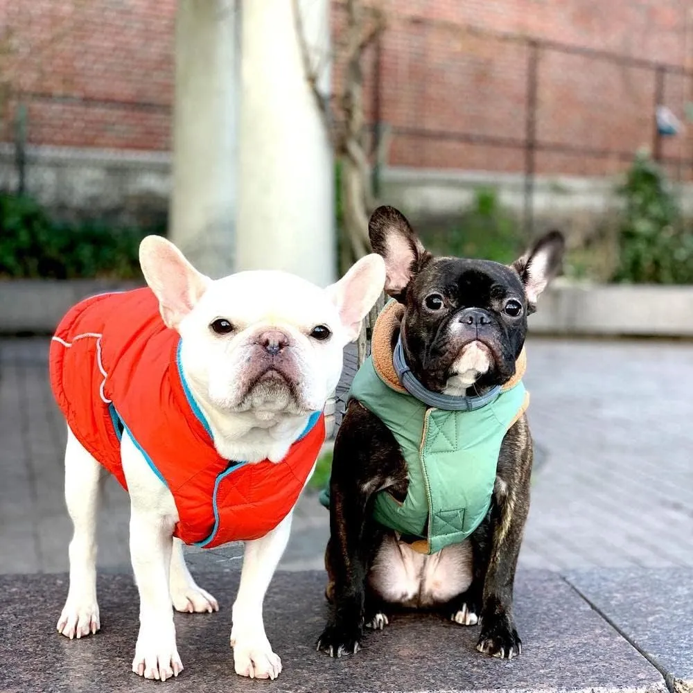 Gooby Sports Vest Dog Jacket - Orange, Medium - Reflective Dog Vest with D Ring Leash - Warm Fleece Lined Small Breed Dog Sweater, Hook and Loop Closure