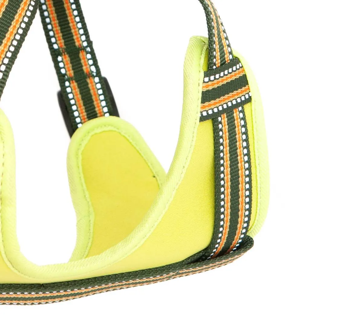 Green Padded Reflective Dog Harness