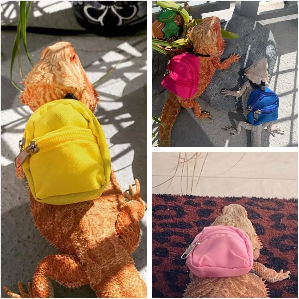 HAICHEN TEC Lizard Backpack for Bearded Dragons School Bag & Books Set Reptile Apparel Accessories Handmade Photo Party Back to School Supplies for Lizard Bearded Dragon Crested Gecko Chameleon