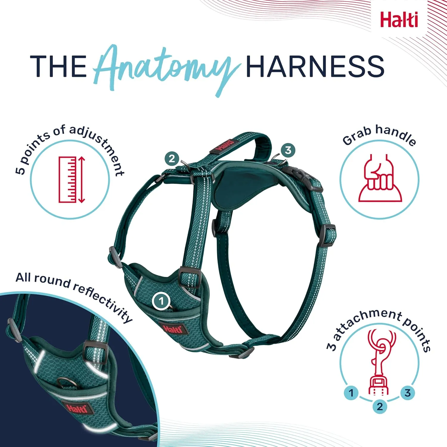 HALTI Anatomy Dog Harness with Handle - Provides Your Dog Freedom of Movement for Comfortable Walking. 3 Leash Attachment Points, Neoprene Padded, Adjustable, and Reflective (Size Medium, Teal)