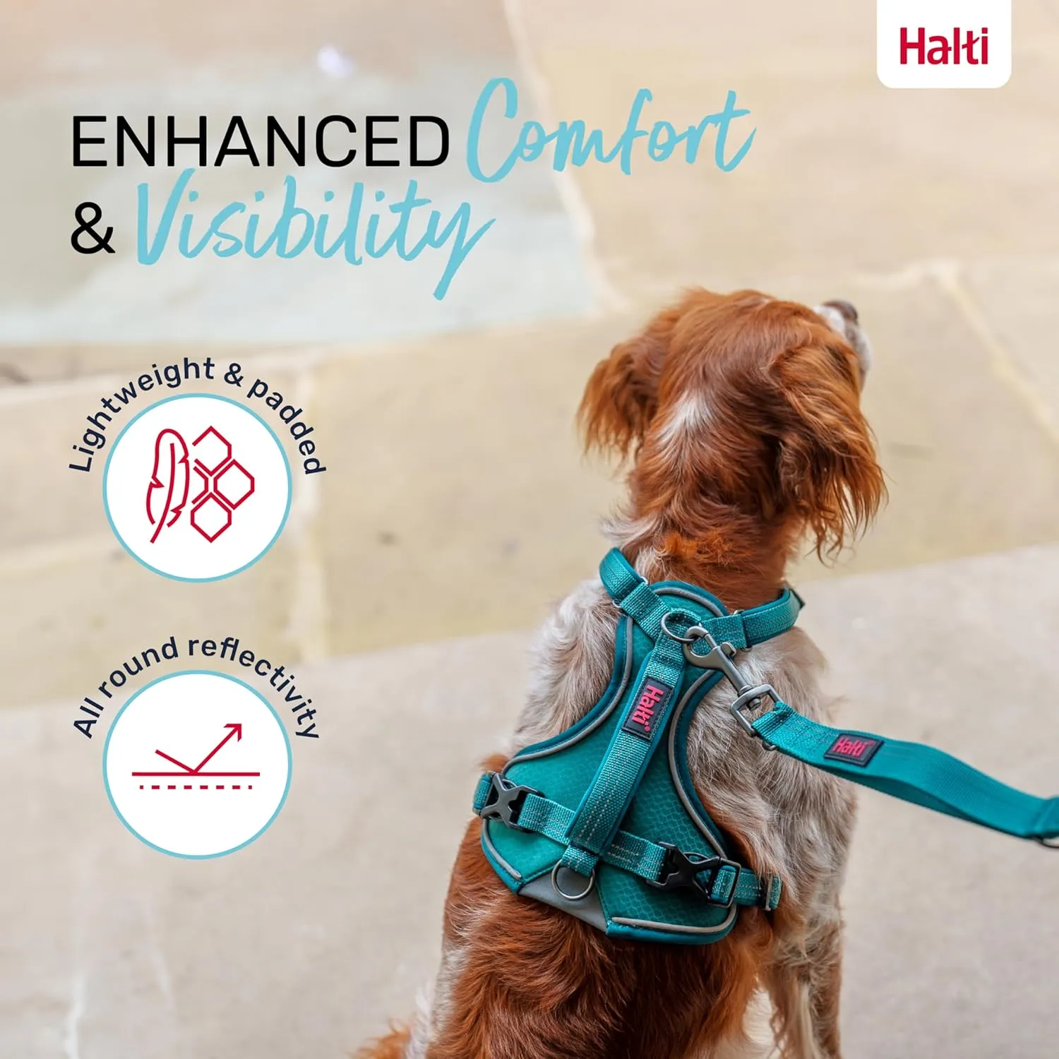 HALTI Anatomy Dog Harness with Handle - Provides Your Dog Freedom of Movement for Comfortable Walking. 3 Leash Attachment Points, Neoprene Padded, Adjustable, and Reflective (Size Medium, Teal)