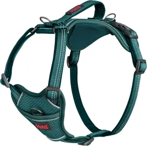 HALTI Anatomy Dog Harness with Handle - Provides Your Dog Freedom of Movement for Comfortable Walking. 3 Leash Attachment Points, Neoprene Padded, Adjustable, and Reflective (Size Medium, Teal)