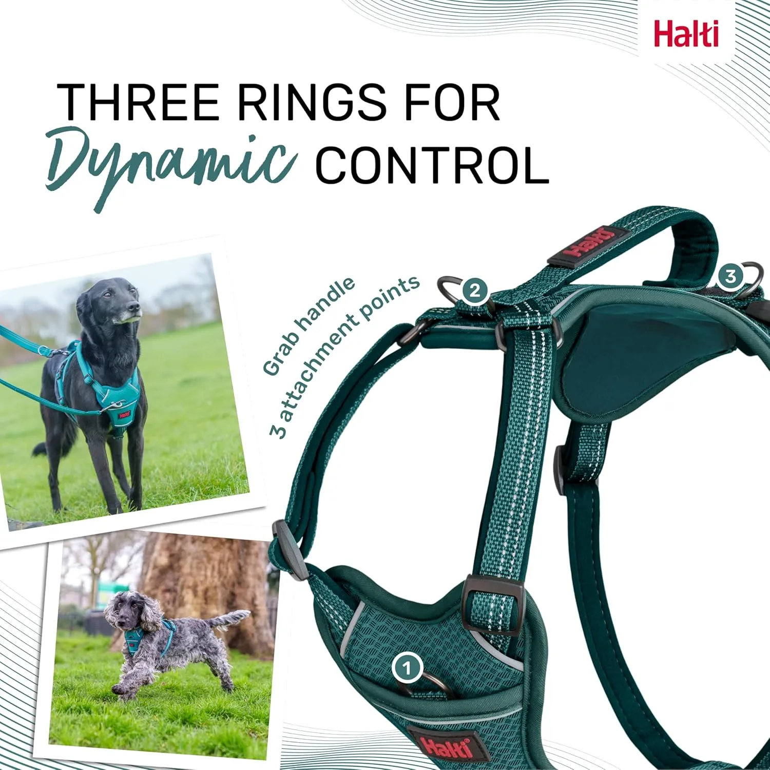 HALTI Anatomy Dog Harness with Handle - Provides Your Dog Freedom of Movement for Comfortable Walking. 3 Leash Attachment Points, Neoprene Padded, Adjustable, and Reflective (Size Medium, Teal)