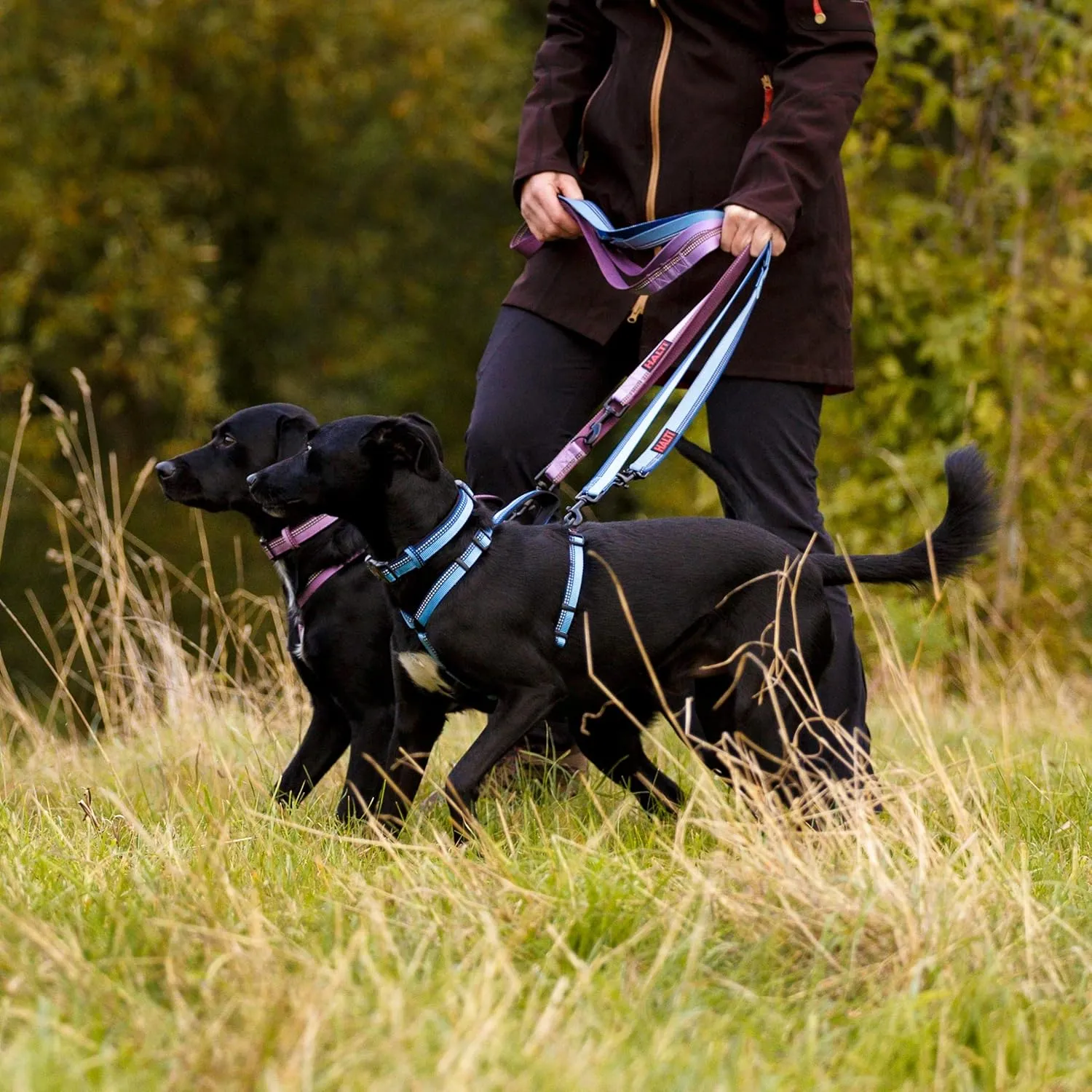 HALTI Double-Ended Leash for Dogs - Neoprene-Padded, Easy to Use, Reflective, Adjustable Lengths, Ideal Dog Leash for Hands Free Running & Training. Suitable for Medium and Large Dogs (Size L, Black)