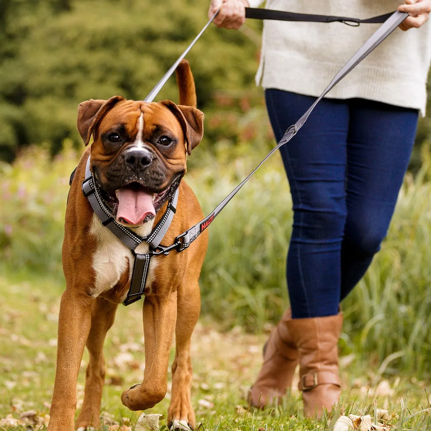 HALTI Double-Ended Leash for Dogs - Neoprene-Padded, Easy to Use, Reflective, Adjustable Lengths, Ideal Dog Leash for Hands Free Running & Training. Suitable for Medium and Large Dogs (Size L, Black)