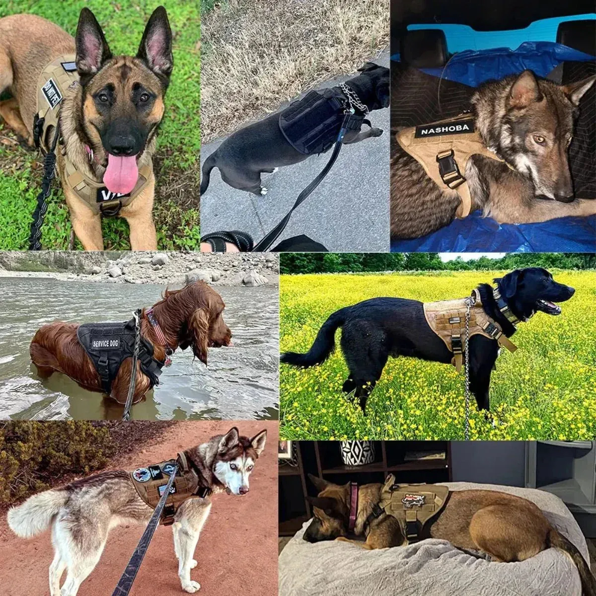 Heavy-Duty Tactical Dog Harness And Leash Set