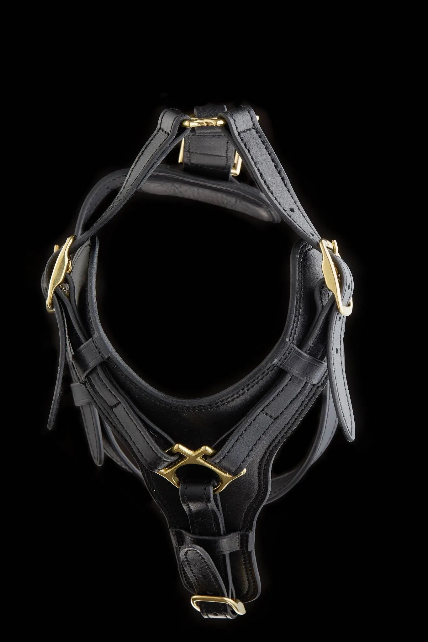 Leather Dog Harness with Padded Y-shaped Breastplate