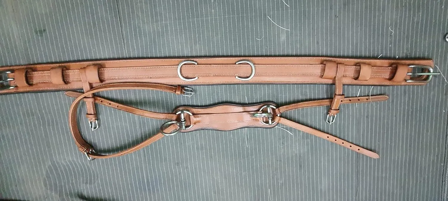 Leather Driving Harness for Single Horse Cart with Bridle, Reins, Traces, Breast Pad, Neck pad, Crupper & Breeching Brown