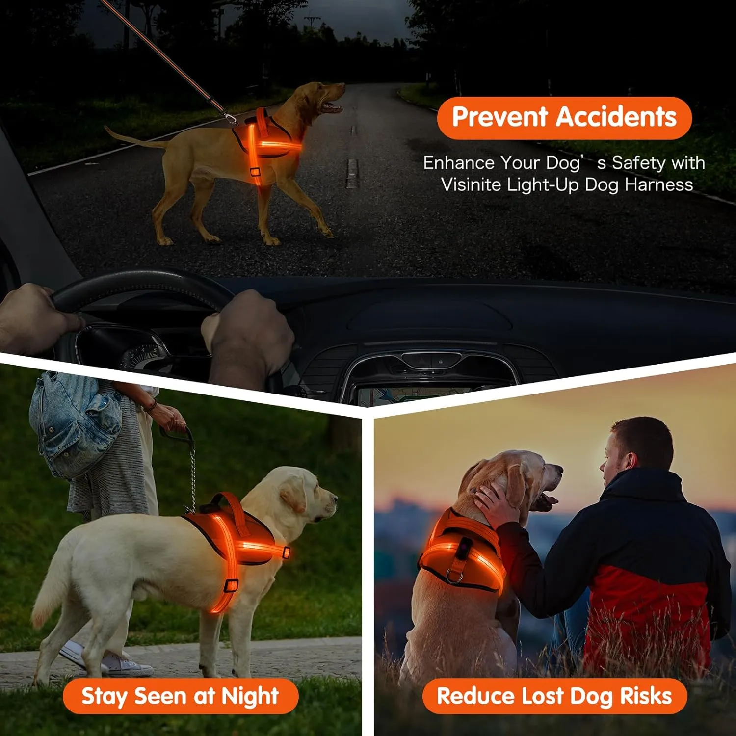 Light Up Dog Harness, No-Pull Led Dog Harness Rechargeable, Reflective Glow in The Dark Dog Vest Harness, Adjustable & Comfort Padded Lighted Dog Harness for Safety Night Walking (Orange, L)