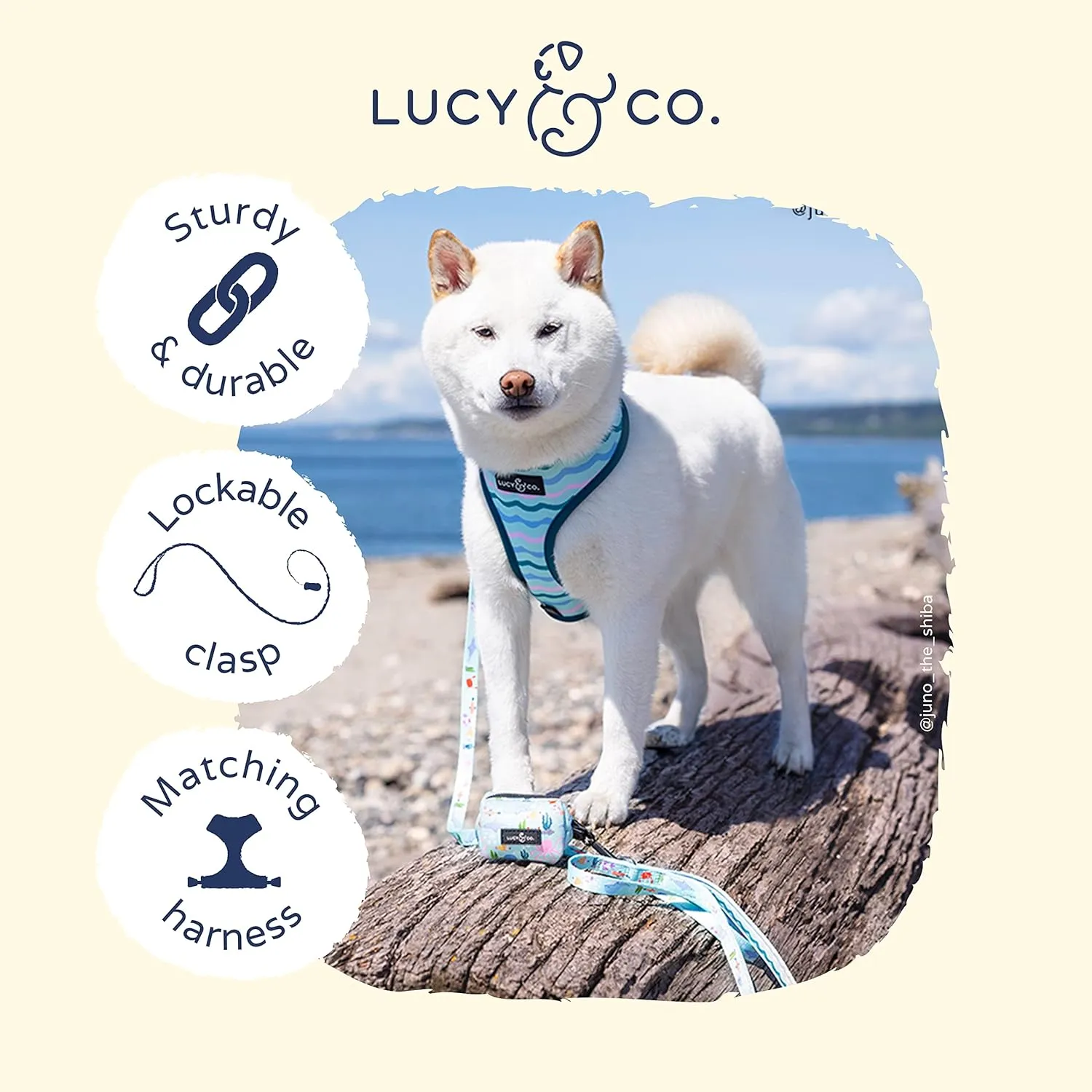Lucy & Co. Designer Dog Leash - Pet Accessories - Thick Dog Leash - Padded Handle for Comfort - Purple with Green Floral - 5 Foot (Mint Green Blue Fish, Small)