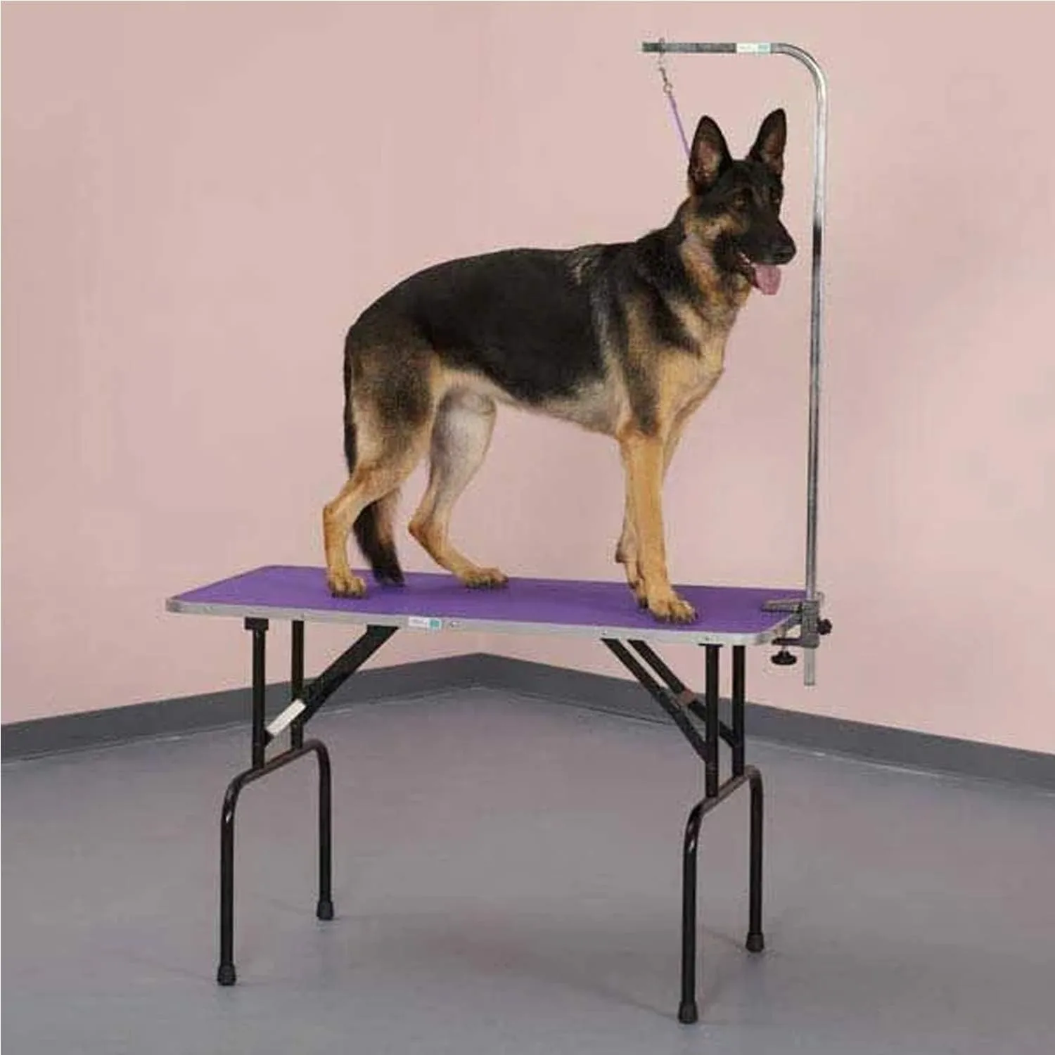 Master Equipment Grooming Table w/36In Grooming Arm, 36x24In Purple