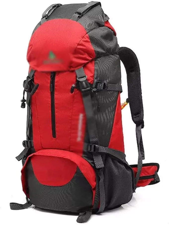 Mountaineering backpack hiking camping backpack large capacity mountaineering bag men 50L/60L(Argento,60L)