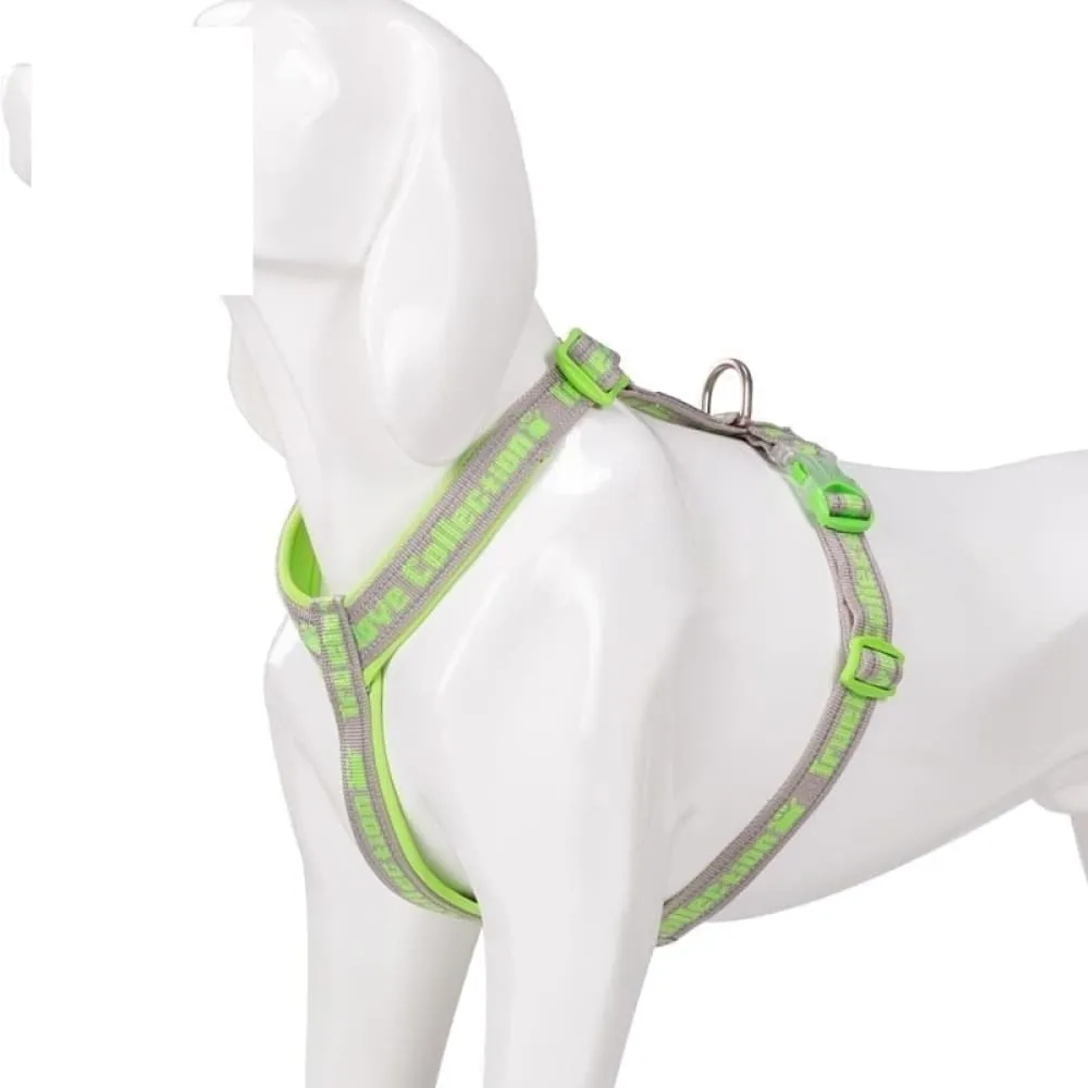 Neoprene Padded Comfort Dog Harness
