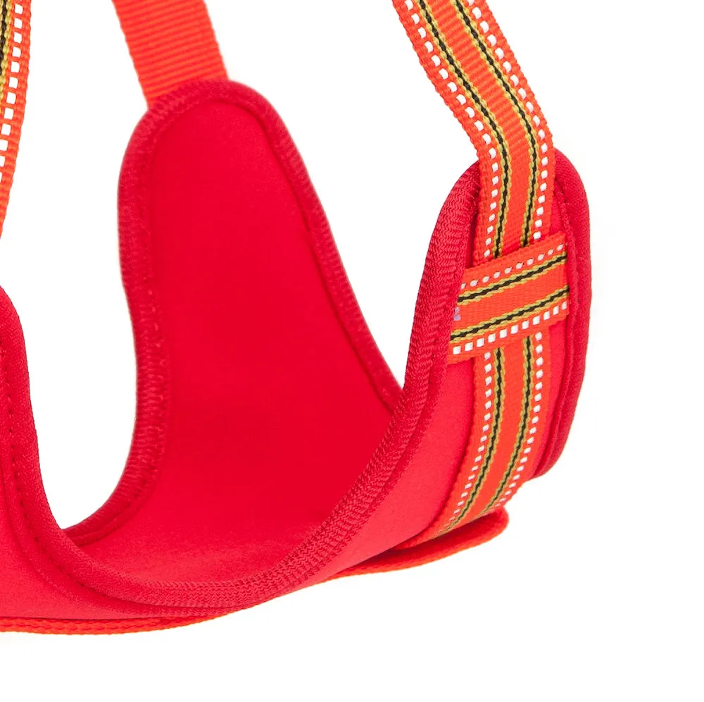 Orange Padded Reflective Dog Harness