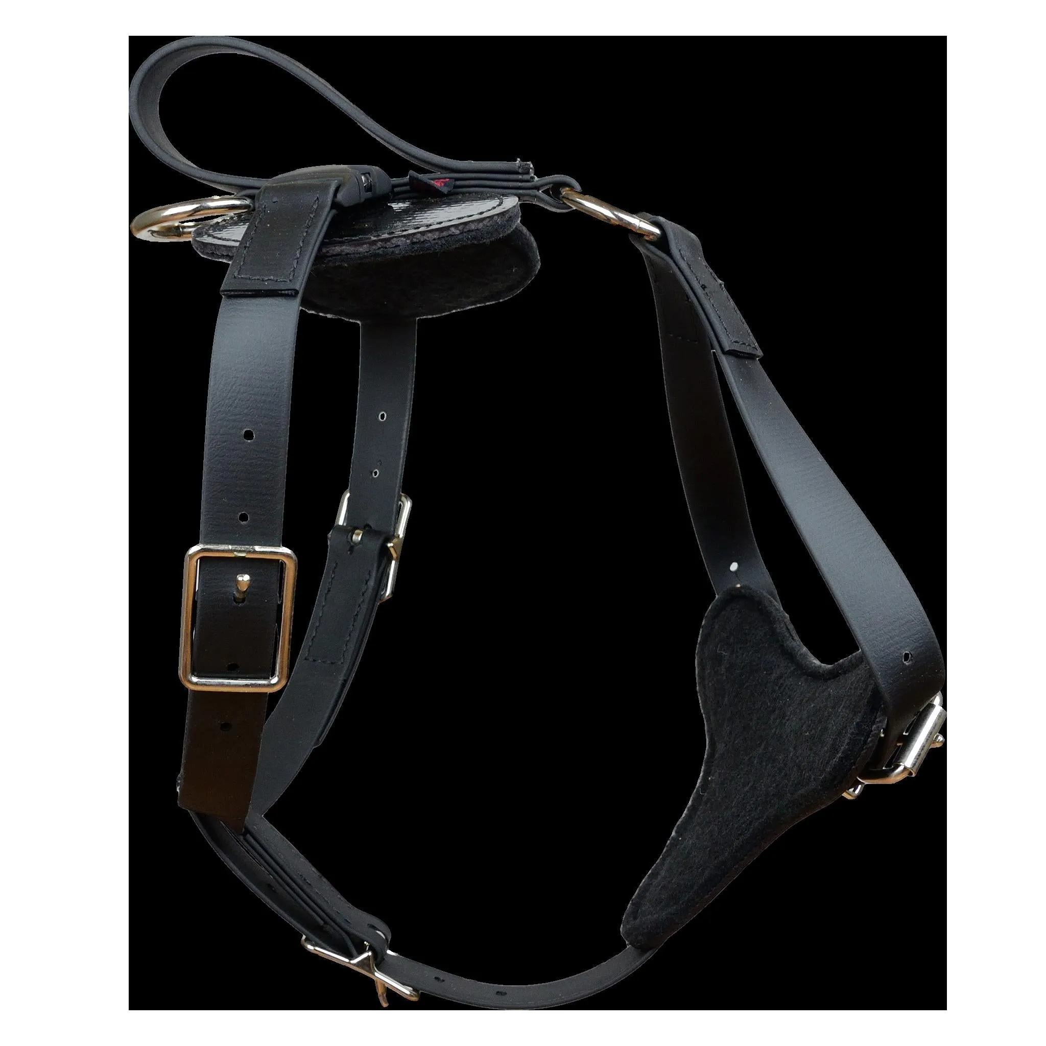 Padded All Weather Quick Release Harness