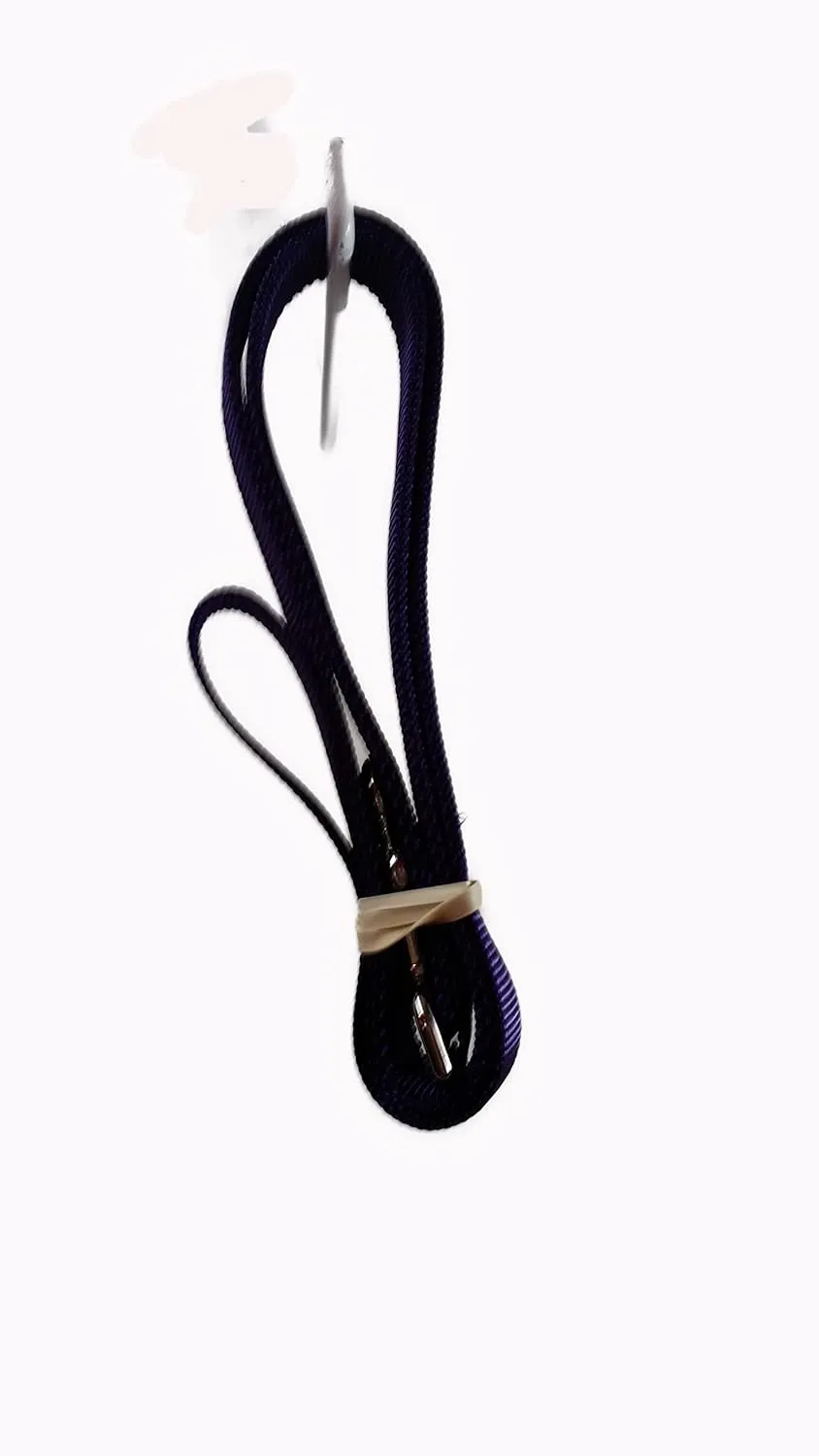 PADDED Carter Pet Supply PIG HOG Harness METAL Buckle Heavy Duty With Leash (X-Large, TURQUOIS)