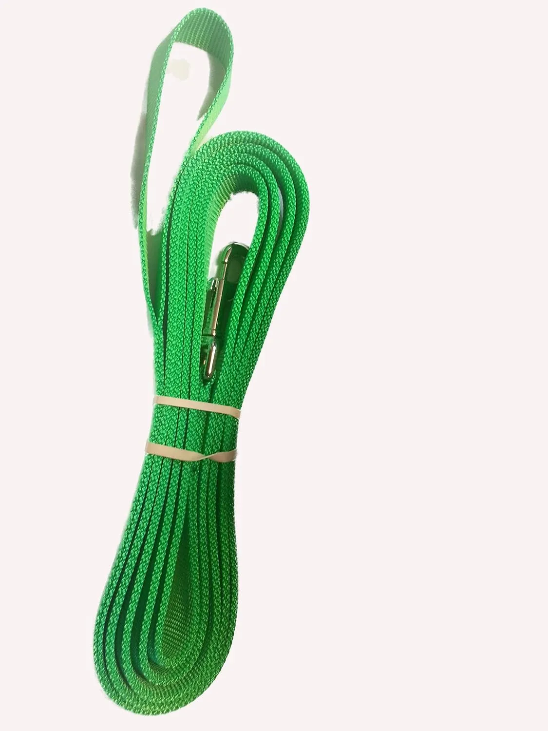PADDED Carter Pet Supply PIG HOG Harness METAL Buckle Heavy Duty With Leash (X-Large, TURQUOIS)