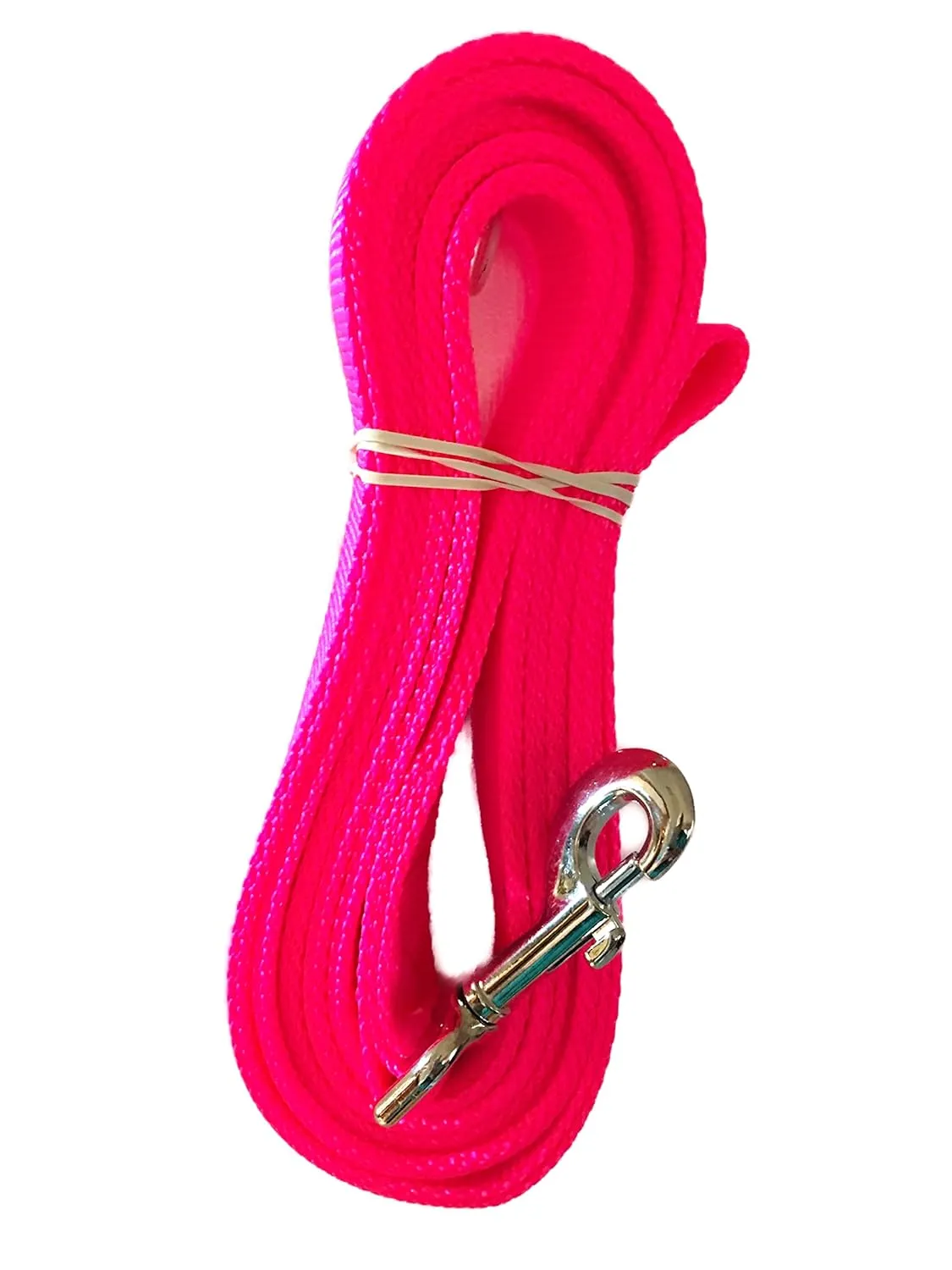 PADDED Carter Pet Supply PIG HOG Harness METAL Buckle Heavy Duty With Leash (X-Large, TURQUOIS)