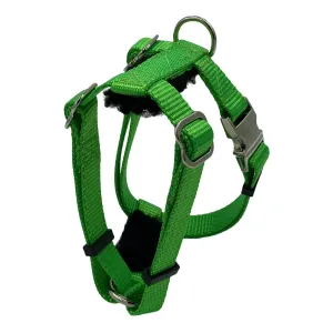 PADDED Carter Pet Supply PIG HOG Harness METAL Buckle Heavy Duty With Leash (X-Large, TURQUOIS)