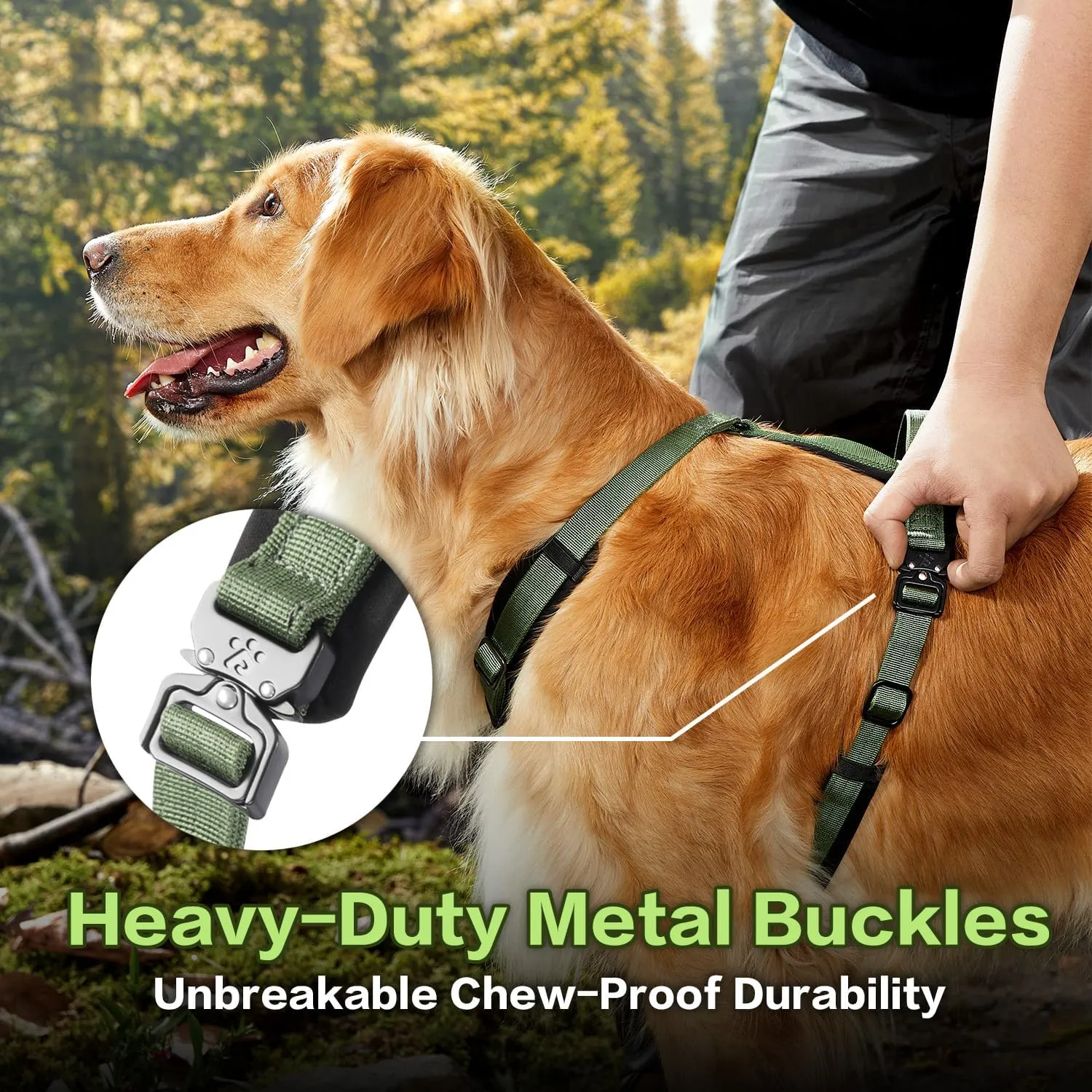 PawsPassion Dog Harness for Large Dogs, Chew-Proof Metal Hardware, Easy Walk Dog Harness, Ergonomic Y-Shaped Design, Soft Padding, Padded Handle, Durable High-Tensile Nylon (Evergreen, L)