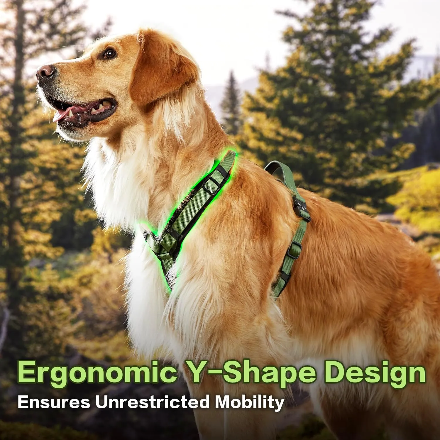 PawsPassion Dog Harness for Large Dogs, Chew-Proof Metal Hardware, Easy Walk Dog Harness, Ergonomic Y-Shaped Design, Soft Padding, Padded Handle, Durable High-Tensile Nylon (Evergreen, L)
