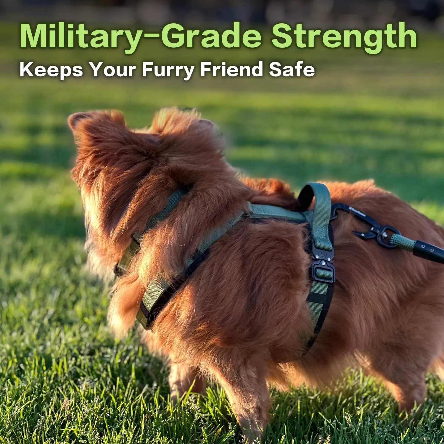 PawsPassion Dog Harness for Large Dogs, Chew-Proof Metal Hardware, Easy Walk Dog Harness, Ergonomic Y-Shaped Design, Soft Padding, Padded Handle, Durable High-Tensile Nylon (Evergreen, L)