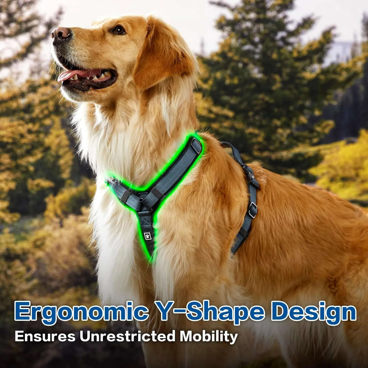 PawsPassion Dog Harness for Medium Dogs, Chew-Proof Metal Hardware, Easy Walk Dog Harness, Ergonomic Y-Shaped Design, Soft Padding, Padded Handle, Durable High-Tensile Nylon (Nightfall, M)