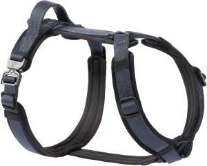 PawsPassion Dog Harness for Medium Dogs, Chew-Proof Metal Hardware, Easy Walk Dog Harness, Ergonomic Y-Shaped Design, Soft Padding, Padded Handle, Durable High-Tensile Nylon (Nightfall, M)
