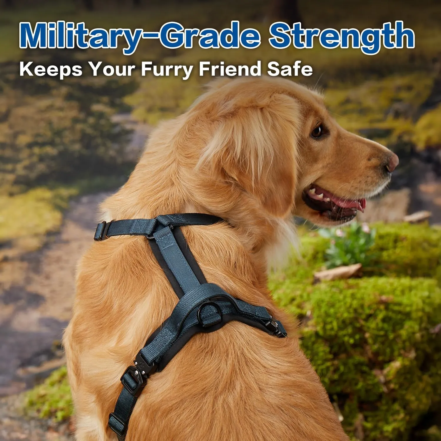 PawsPassion Dog Harness for Medium Dogs, Chew-Proof Metal Hardware, Easy Walk Dog Harness, Ergonomic Y-Shaped Design, Soft Padding, Padded Handle, Durable High-Tensile Nylon (Nightfall, M)