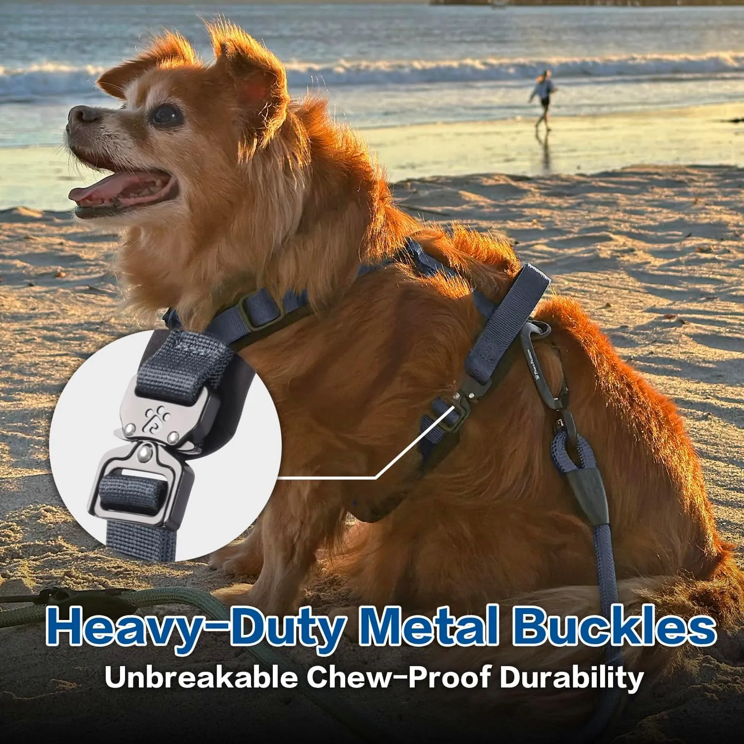 PawsPassion Dog Harness for Medium Dogs, Chew-Proof Metal Hardware, Easy Walk Dog Harness, Ergonomic Y-Shaped Design, Soft Padding, Padded Handle, Durable High-Tensile Nylon (Nightfall, M)