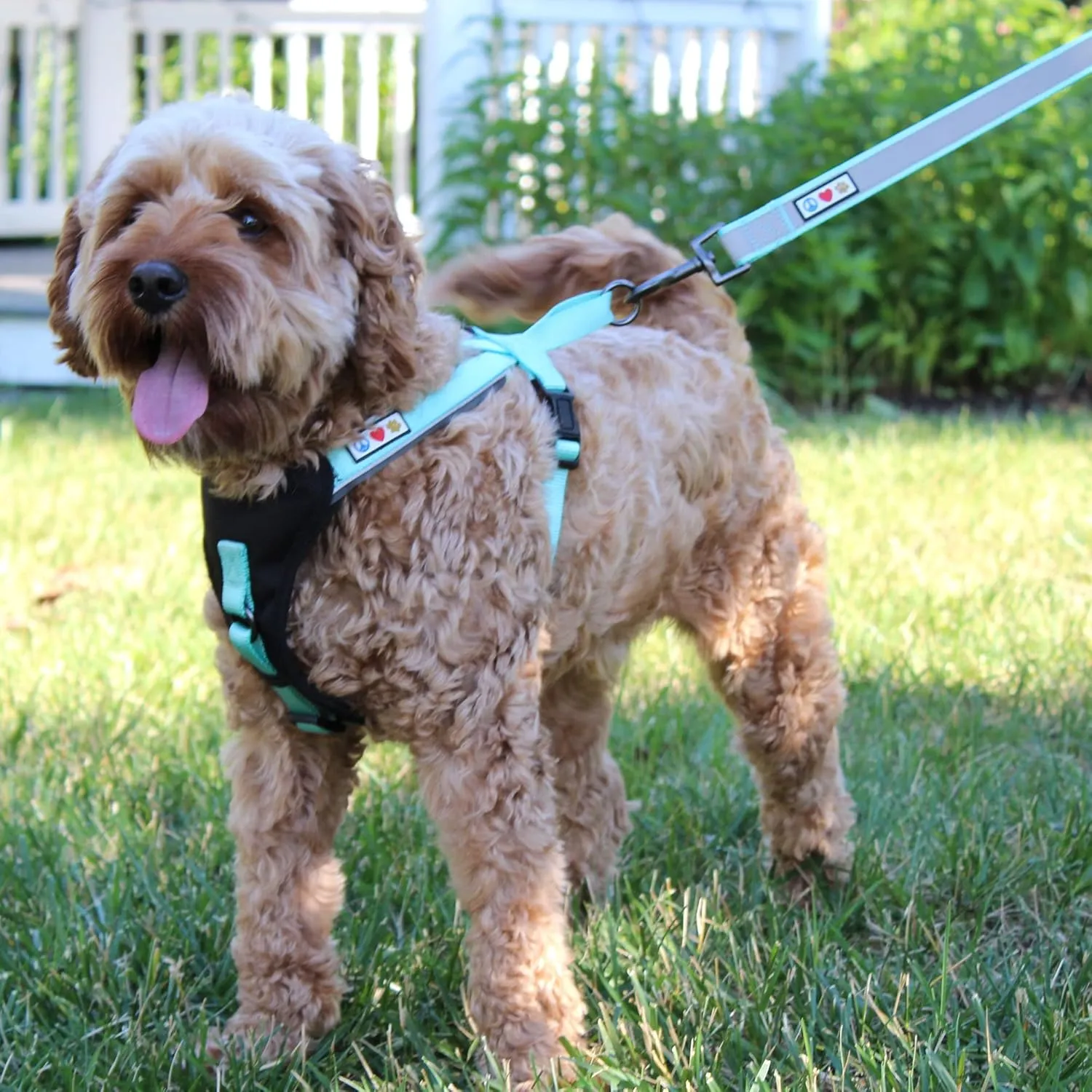 Pawtitas Reflective Dog Harness Padded Dog Harness Provides Comfort Control for a Walk or Running Great Pet Accessories Dog Vest S Small Purple Dog Harness