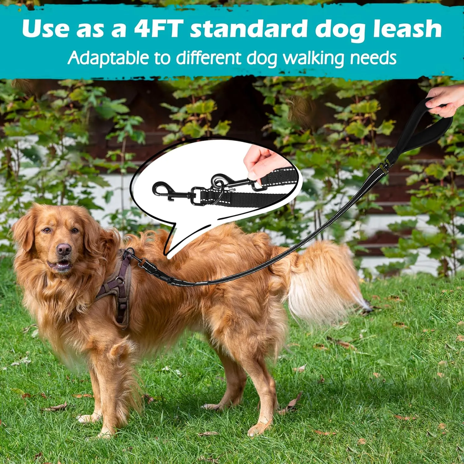 PetBonus Two Point Control Dog Leash, Works with No Pull Harnesses, No Tangle Training Leashes, Soft Padded and Reflective Walking Lead, Converts to Single Lead for Medium Large Dogs (Black)
