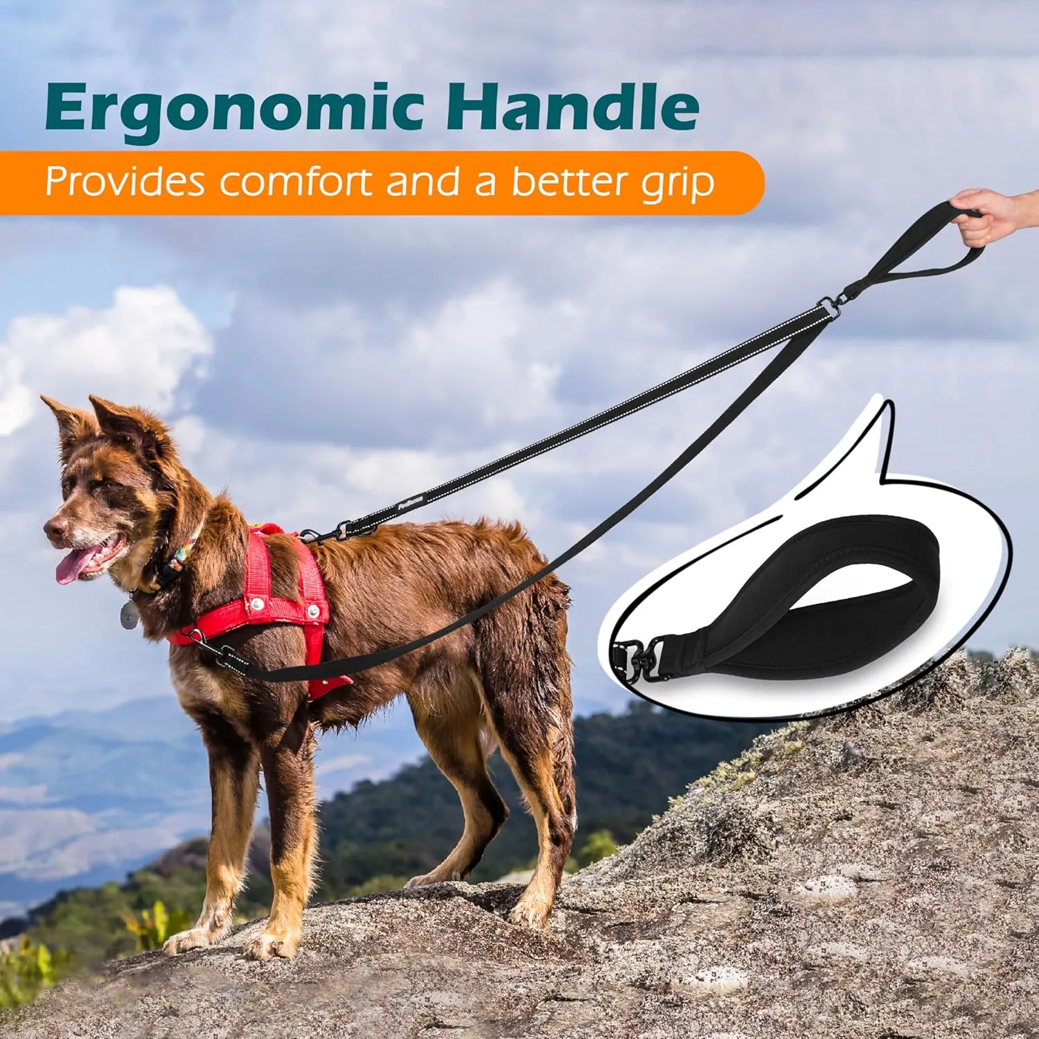 PetBonus Two Point Control Dog Leash, Works with No Pull Harnesses, No Tangle Training Leashes, Soft Padded and Reflective Walking Lead, Converts to Single Lead for Medium Large Dogs (Black)