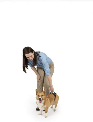 PetSafe CareLift Rear Support Harness - Lifting Aid with Handle - Great for Pet Mobility and Older Dogs - Comfortable, Breathable Material - Easy to Adjust - Small, Red