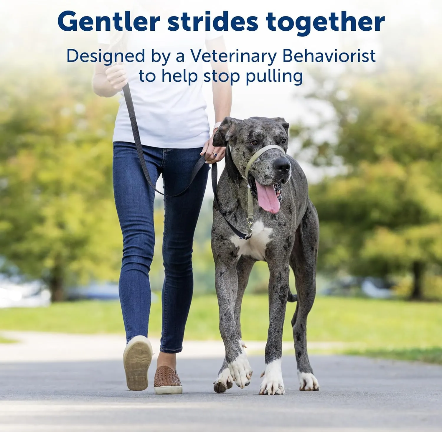 PetSafe Gentle Leader No-Pull Head Collar for Dogs, Dog Head Collar - The Ultimate Solution to Pulling, Padded Nose Loop, Quick-Snap Neck Strap, Dog Halter, Medium - Black