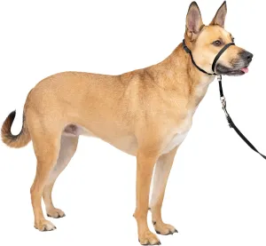 PetSafe Gentle Leader No-Pull Head Collar for Dogs, Dog Head Collar - The Ultimate Solution to Pulling, Padded Nose Loop, Quick-Snap Neck Strap, Dog Halter, Medium - Black