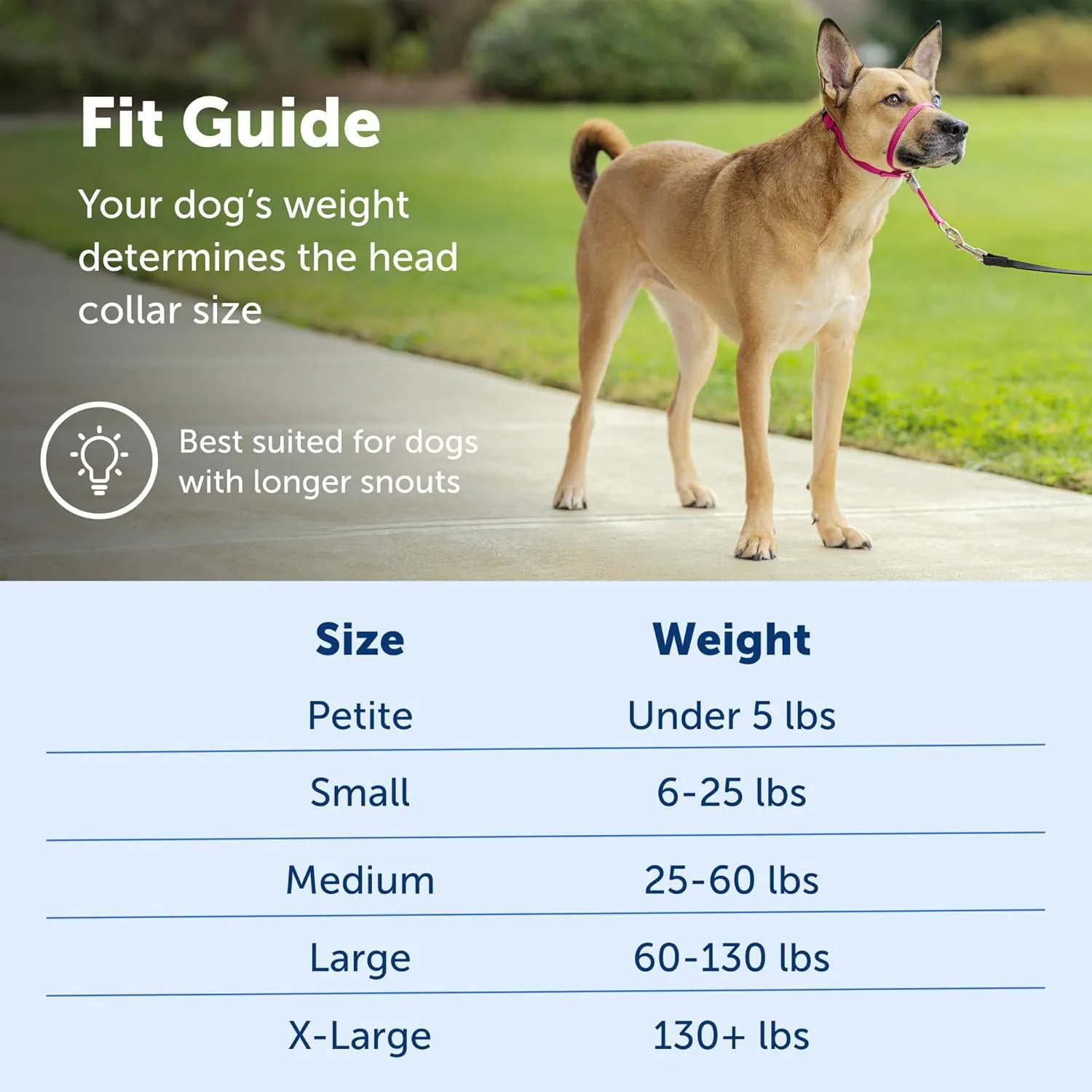 PetSafe Gentle Leader No-Pull Head Collar for Dogs, Dog Head Collar - The Ultimate Solution to Pulling, Padded Nose Loop, Quick-Snap Neck Strap, Dog Halter, Medium - Black
