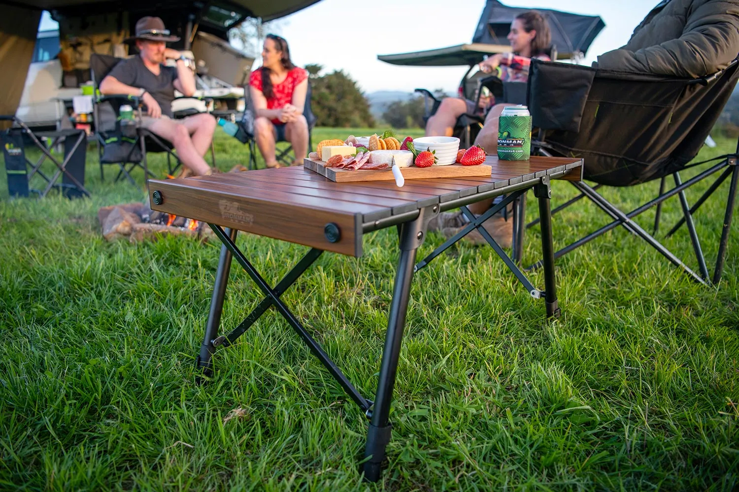 PICNIC/TABLE