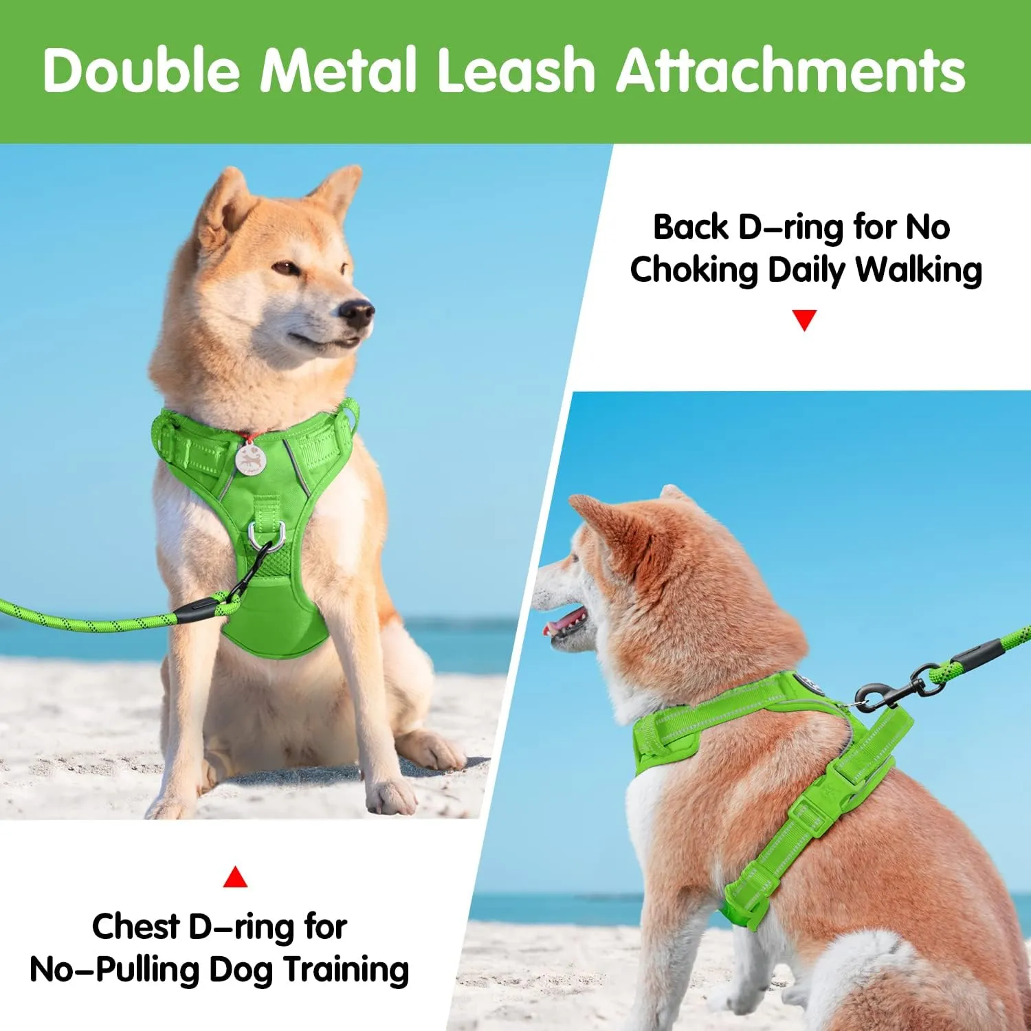 PoyPet No Pull Dog Harness and 5 Feet Leash Set, Release on Neck Reflective Adjustable Pet Vest, Front & Back 2 D-Ring and Soft Padded Pet Harness with Handle for Small to Large Dogs(Green,XL)