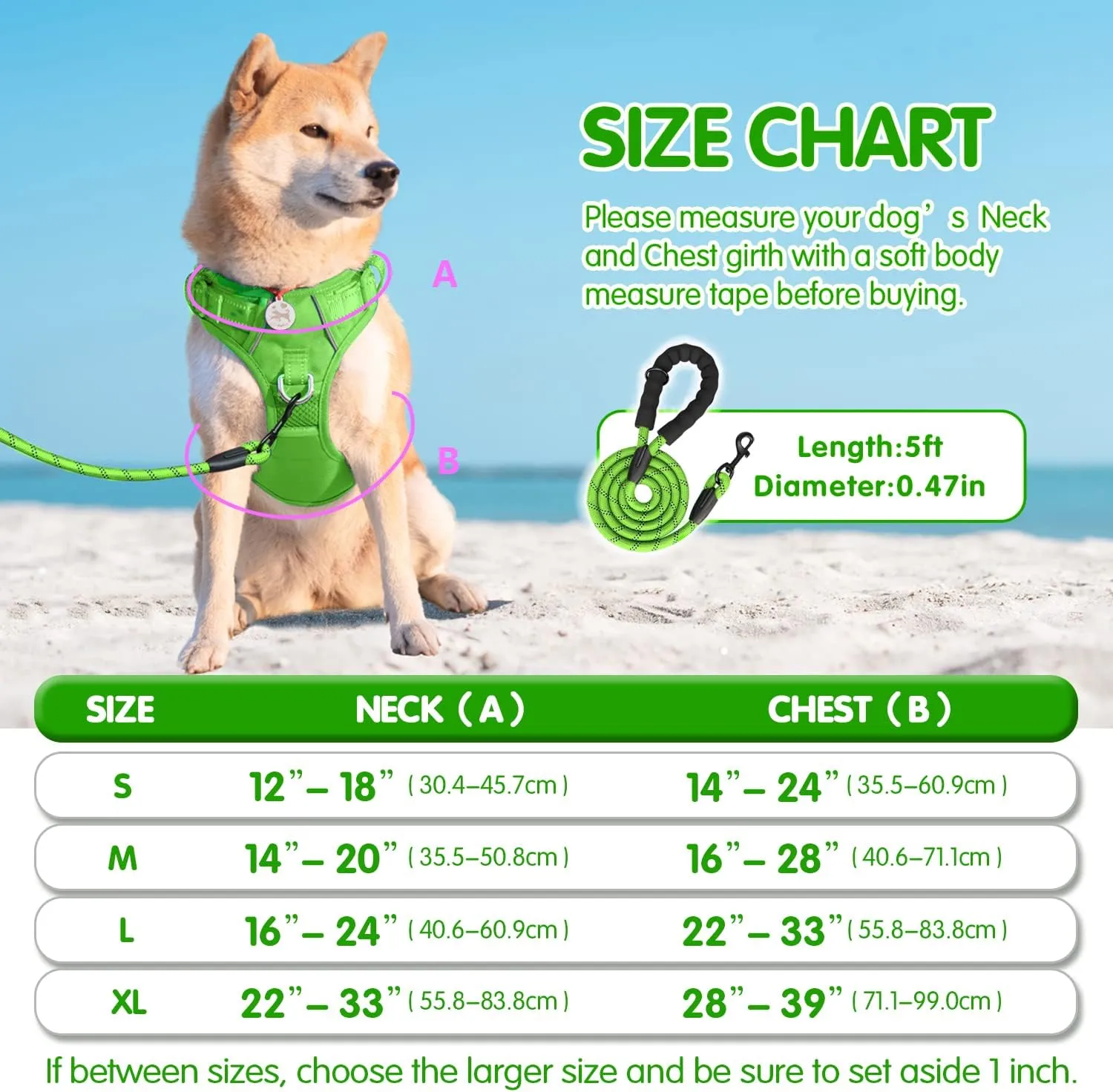 PoyPet No Pull Dog Harness and 5 Feet Leash Set, Release on Neck Reflective Adjustable Pet Vest, Front & Back 2 D-Ring and Soft Padded Pet Harness with Handle for Small to Large Dogs(Green,XL)