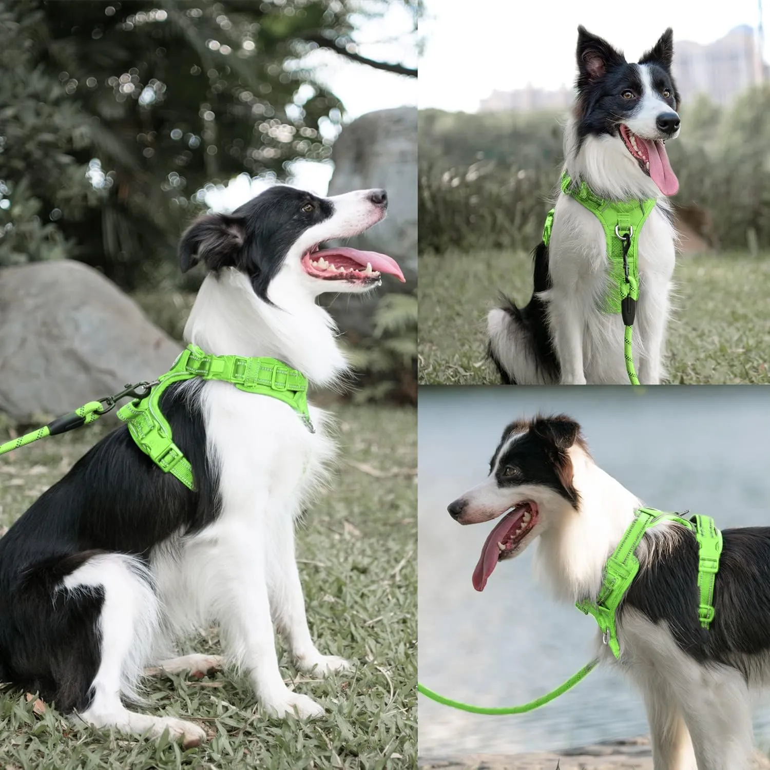 PoyPet No Pull Dog Harness and 5 Feet Leash Set, Release on Neck Reflective Adjustable Pet Vest, Front & Back 2 D-Ring and Soft Padded Pet Harness with Handle for Small to Large Dogs(Green,XL)