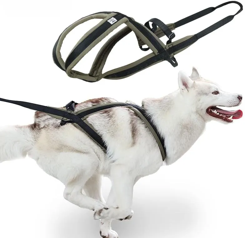 Professional Sled Dog Harness for Running, Weight Pulling & Canicross - Multi-Functional Training Gear with Wheeled Sled Adaptability (M)