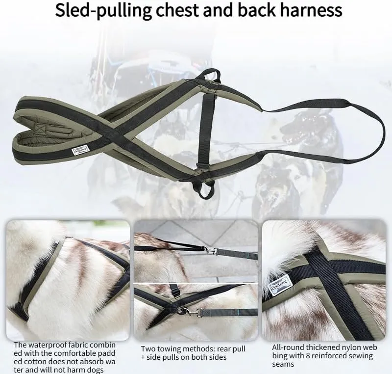 Professional Sled Dog Harness for Running, Weight Pulling & Canicross - Multi-Functional Training Gear with Wheeled Sled Adaptability (M)
