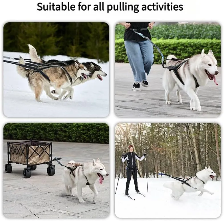 Professional Sled Dog Harness for Running, Weight Pulling & Canicross - Multi-Functional Training Gear with Wheeled Sled Adaptability (M)