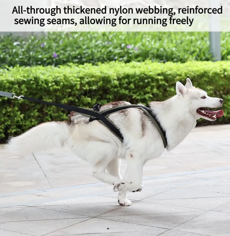 Professional Sled Dog Harness for Running, Weight Pulling & Canicross - Multi-Functional Training Gear with Wheeled Sled Adaptability (M)