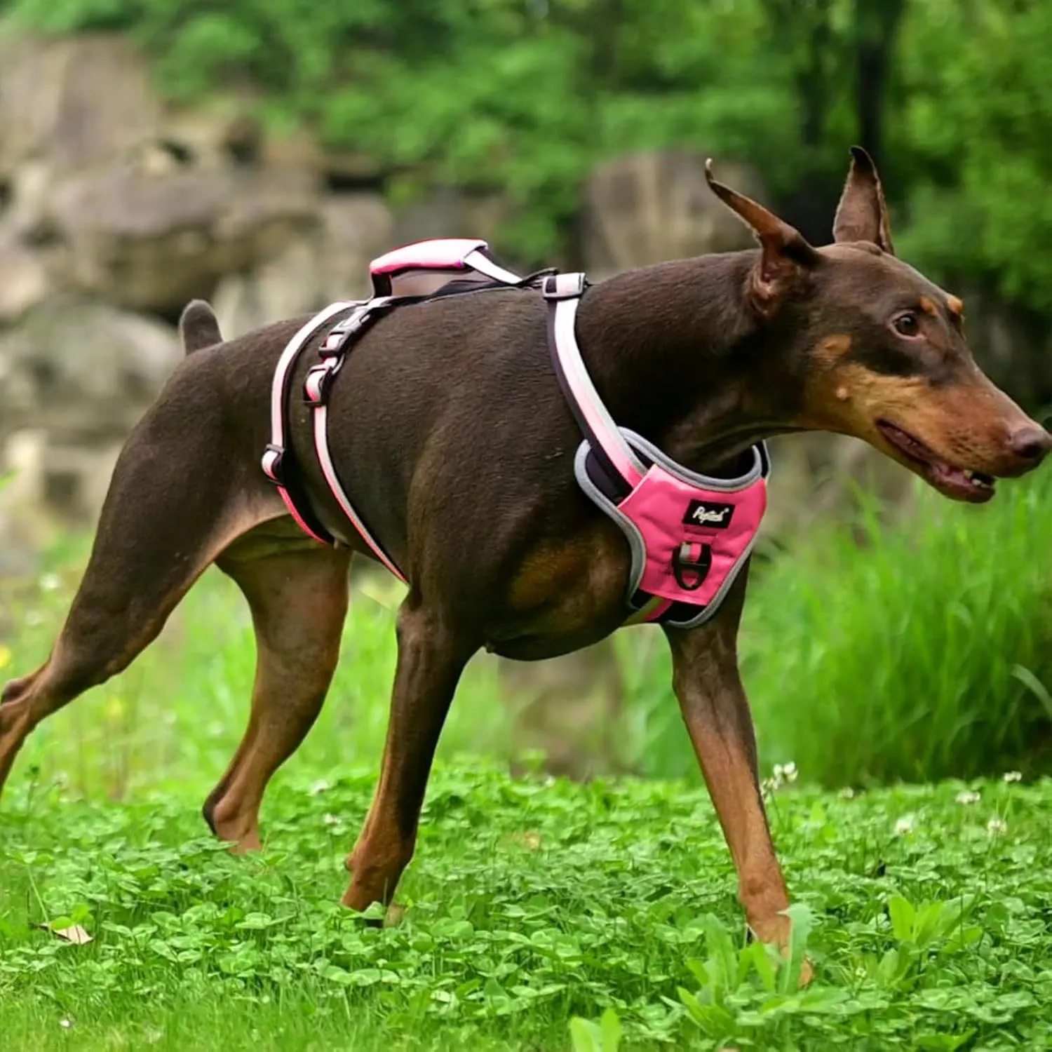 PUPTECK Escape Proof Dog Harness with Padded Handle, No Pull Pet Vest Harness Durable Reflective for Medium Large Dogs Walking Training and Running, Pink, M
