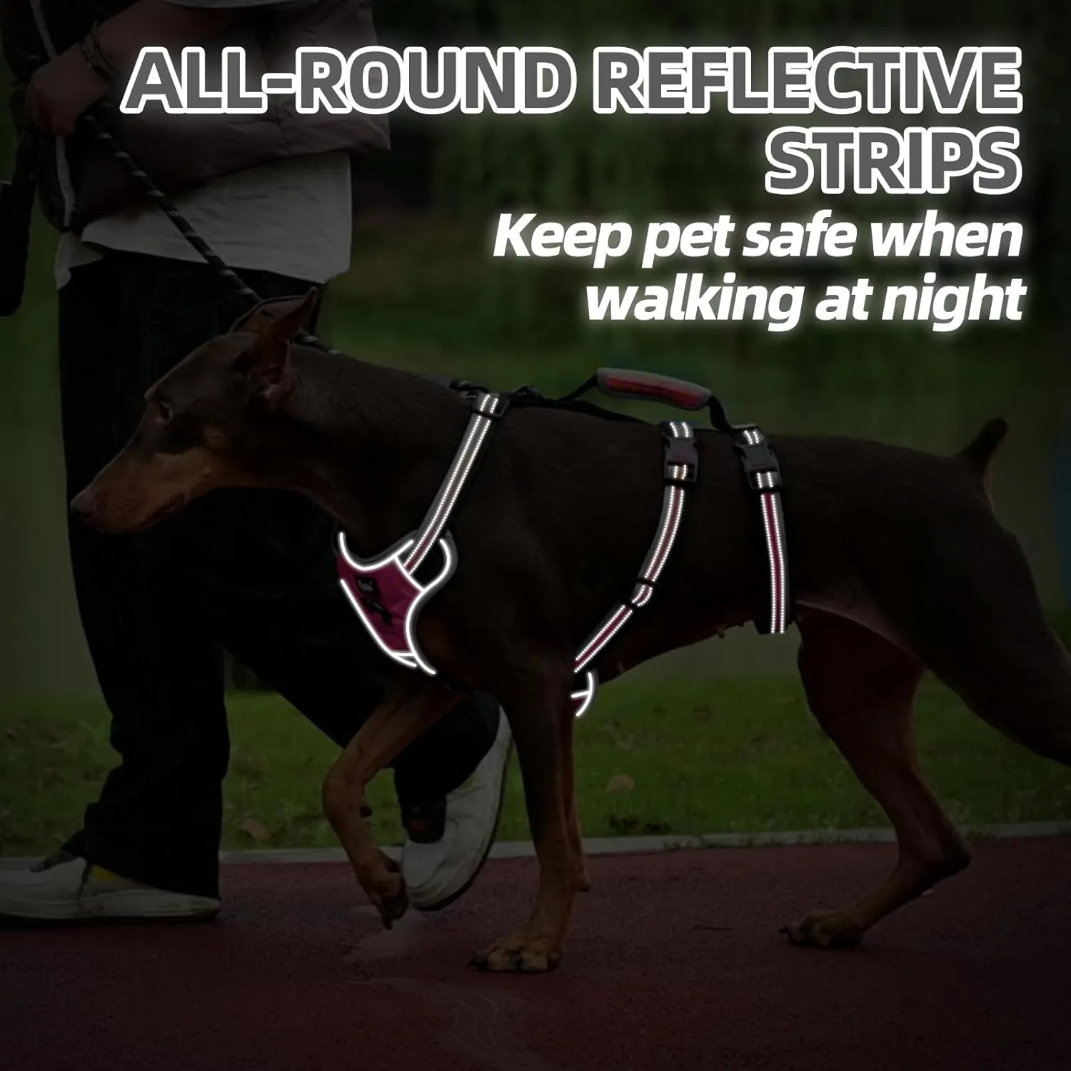 PUPTECK Escape Proof Dog Harness with Padded Handle, No Pull Pet Vest Harness Durable Reflective for Medium Large Dogs Walking Training and Running, Pink, M