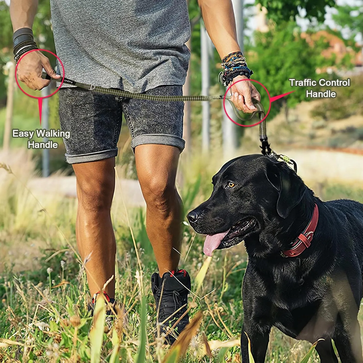 Raipult Tactical Heavy Duty Dog Leash,4-6FT Strong Bungee Dog Leashes with Frog Clip & Car Seatbelt，Reflective Walking Lead with 2 Handles for Medium Large Dogs,Green
