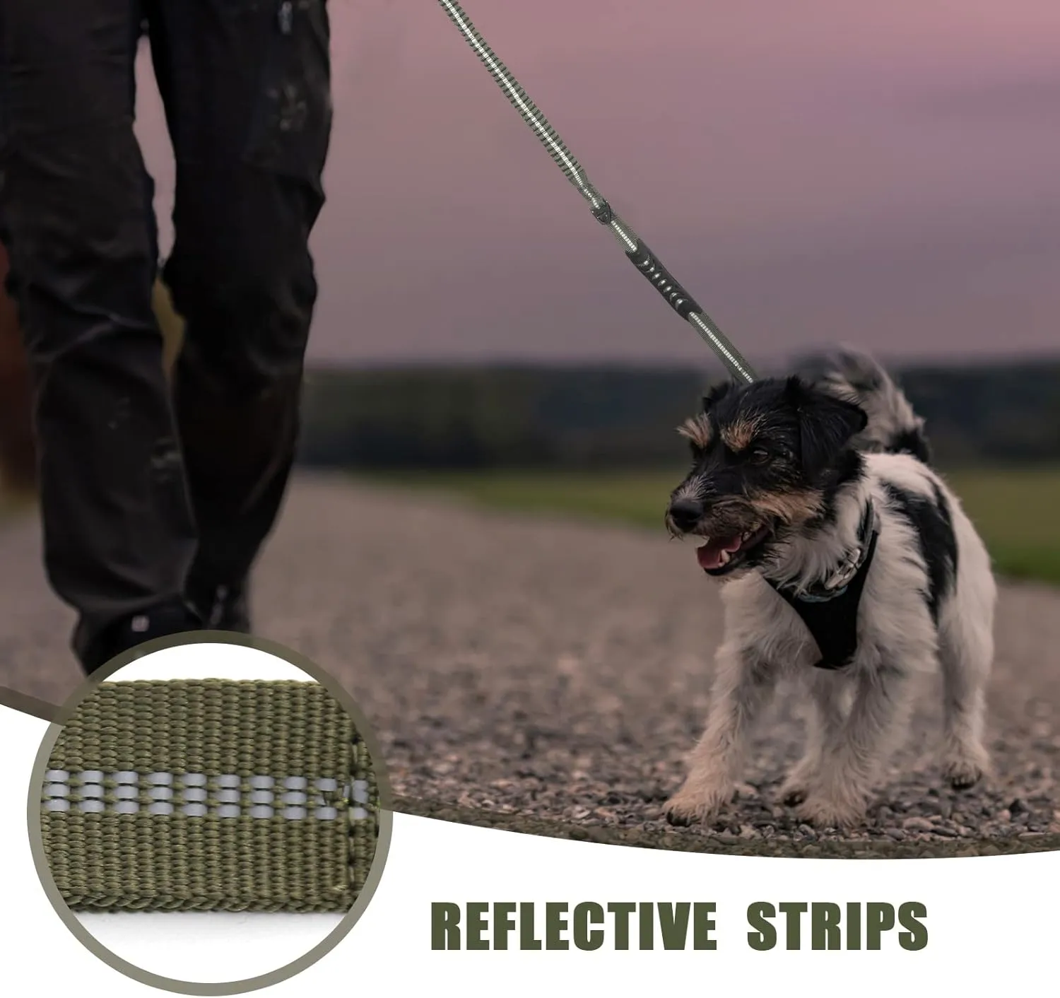 Raipult Tactical Heavy Duty Dog Leash,4-6FT Strong Bungee Dog Leashes with Frog Clip & Car Seatbelt，Reflective Walking Lead with 2 Handles for Medium Large Dogs,Green