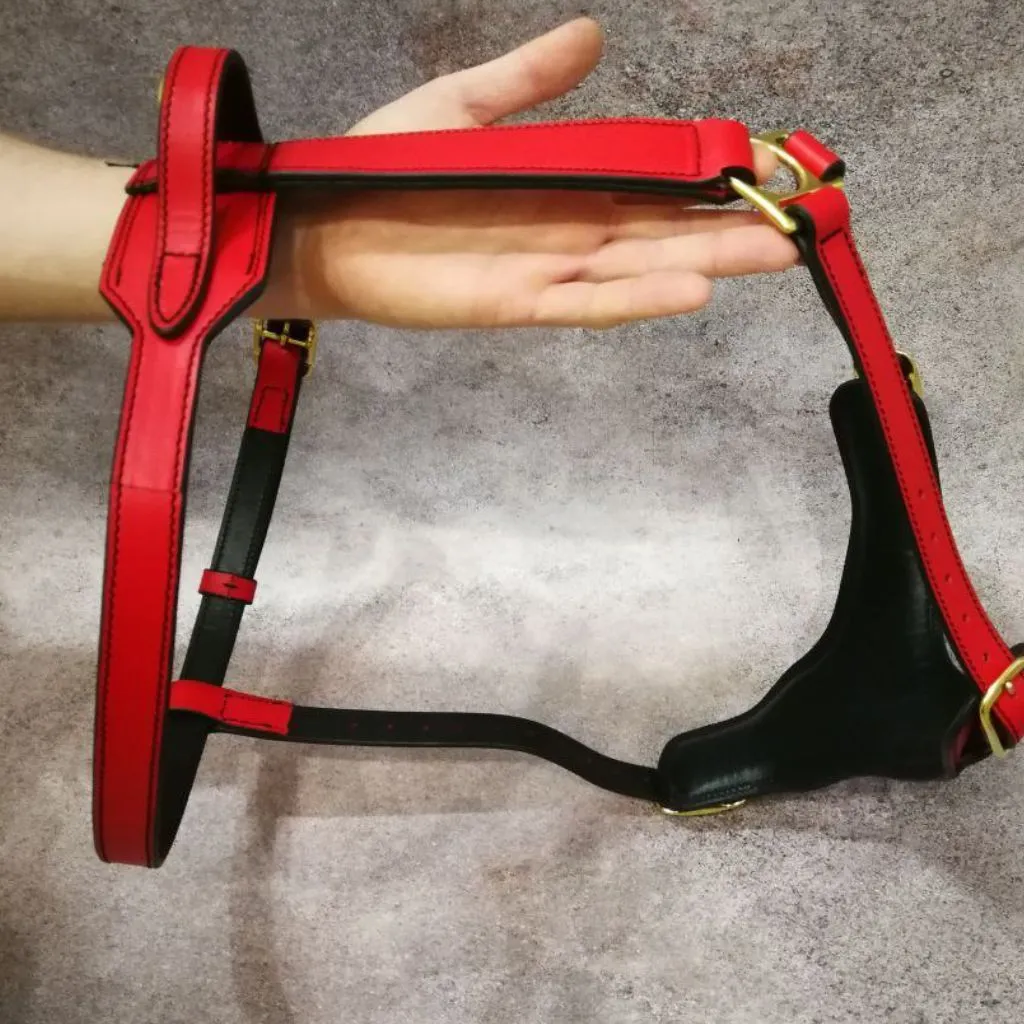 Red Leather Dog Harness